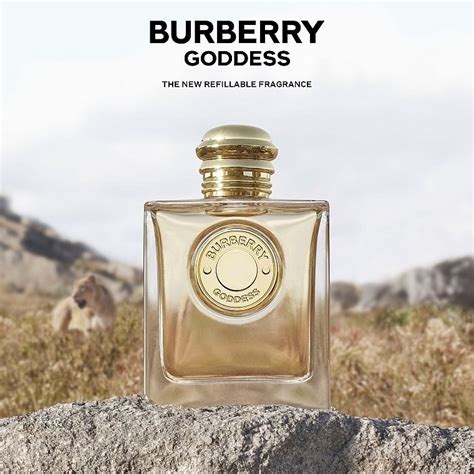 goddess burberry perfume notes|Burberry goddess perfume chemist warehouse.